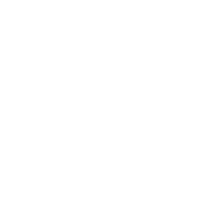 cat-icon